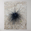 Suche nach black sand beach poster Sea