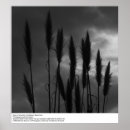 Suche nach ansel adams poster Landschaft