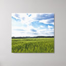 Suche nach getreide leinwandbilder Landschaft