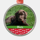 Suche nach hundeknochen ornamente Welpen