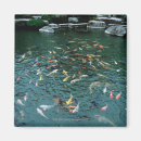Suche nach koi teich magnete Schwimmen
