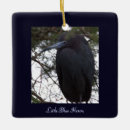 Suche nach kleiner vogel ornamente Tiere