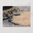 Suche nach freunde für immer postkarten Jede person