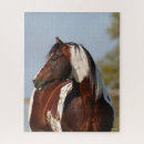 Suche nach paint horse puzzle Tobiano