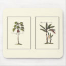 Suche nach bäume mousepads Palmen