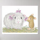 Suche nach guinea poster Nagetier