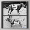 Suche nach tierschutz poster Grausamkeit