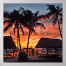 Suche nach florida keys poster Tropisch