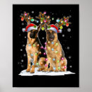 Suche nach malinois poster Weihnachten