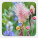 Suche nach prarie aufkleber Chuck haney