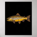 Suche nach fly fishing poster Angelrute