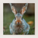 Suche nach russisches blau puzzle Haustier