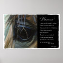 Suche nach traurige augen poster Pferd