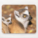 Suche nach lemuren mousepads Mutter