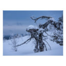 Suche nach finnisches poster Winter