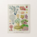 Suche nach great barrier reef puzzle Koralle