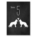 Suche nach weißer schäferhund Haustiere