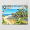 Suche nach chamäleon postkarten Regenwald