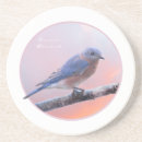 Suche nach ostern untersetzer Vögel