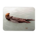 Suche nach niedliche otter magnete Für alle