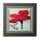 Suche nach rote rose fliesen Küche