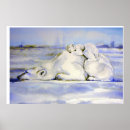 Suche nach polar bear poster Junge