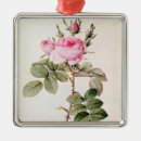 Suche nach botanik ornamente 19