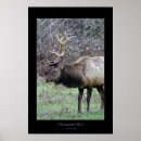 Suche nach roosevelt poster Elch