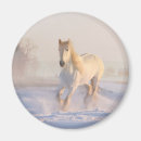 Suche nach schönes pferd magnete Reiter