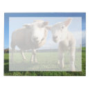 Suche nach schafe notizblock Wolle