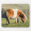 Suche nach domestiziert mousepads Pferd