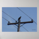 Suche nach telefonzellen poster Fotografie