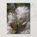 Suche nach pod postkarten Blume