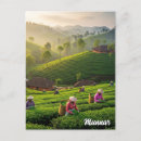 Suche nach kerala postkarten Natur