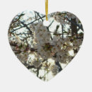 Suche nach kirschblüte baum ornamente Kirsche