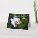 Suche nach phalaenopsis karten Lila