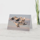 Suche nach weiße flügel karten Fliegen