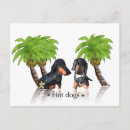 Suche nach dachshund postkarten Tiere