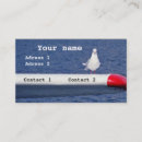 Suche nach seemöwe visitenkarten Möve