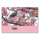 Suche nach vögel tischkarten Für alle