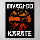 Suche nach kata poster Karate kämpfer