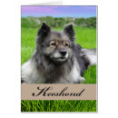 Suche nach spitzhund postkarten Haustier