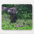 Suche nach alpha wolf mousepads Hunde