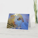 Suche nach meerschweinchen einladungen Guinea