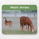 Suche nach waliser pony Pfeiler