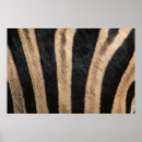 Suche nach vintage streifen poster Natur