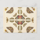 Suche nach motte postkarten Flügel