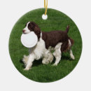 Suche nach englischer springer spaniel ornamente Leber