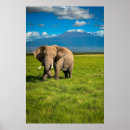 Suche nach afrika poster Afrikanischer elefant
