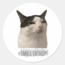 Suche nach lustige katze aufkleber Süß